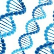 Ab DNA Testing Services