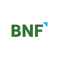 Bnf Consulting Inc