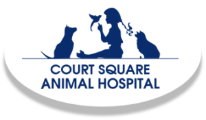 Court Square Animal Hospital
