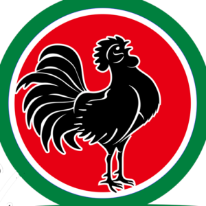 El Gallo Negro 2