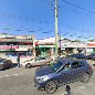 Little Neck Drug Store