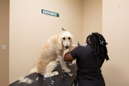 North Shore Animal Hospital