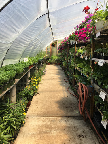 Verni’s Garden Center